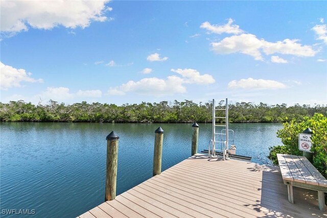 view of dock with a water view