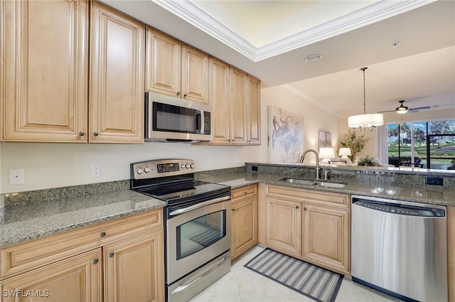 kitchen with appliances with stainless steel finishes, light brown cabinets, a sink, and ornamental molding