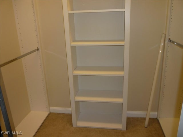 6210 Towncenter Cir, Naples, FL 34119 - spacious closet featuring light carpet
