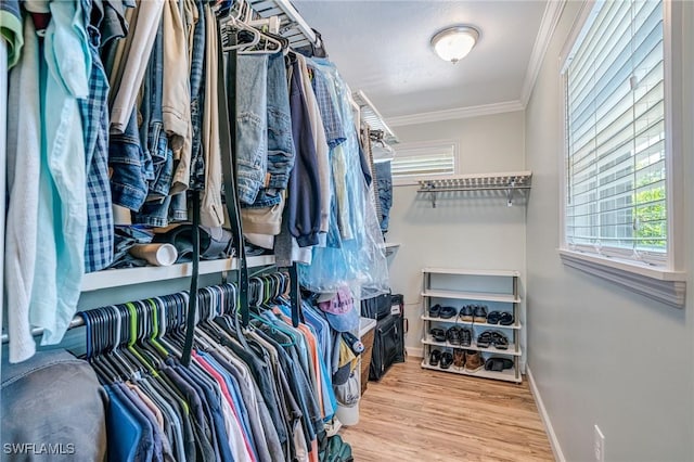 spacious closet featuring wood finished floors