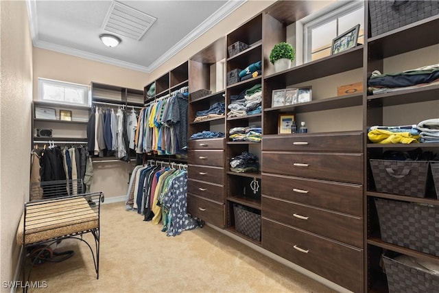 walk in closet with light colored carpet