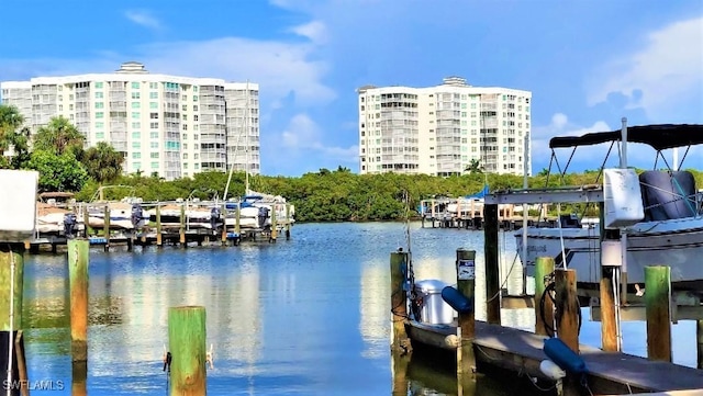 dock area with a water view