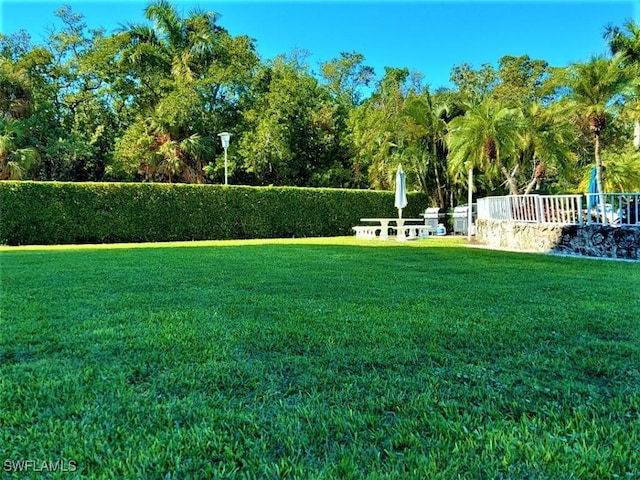 view of home's community featuring a yard