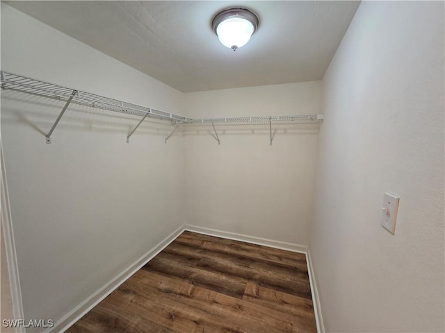 spacious closet featuring dark wood-type flooring