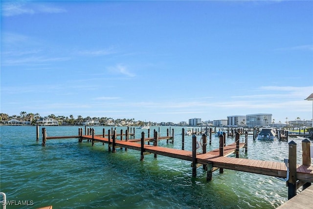 dock area with a water view