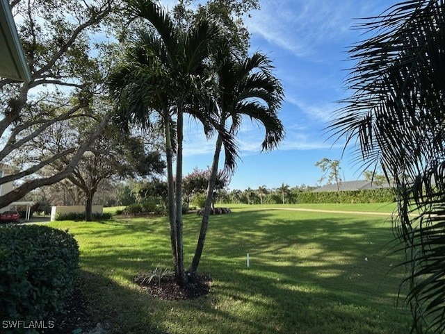 view of community featuring a lawn