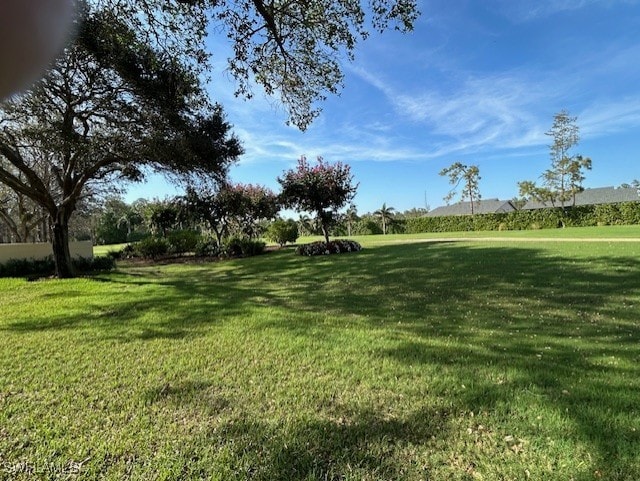 view of home's community with a yard