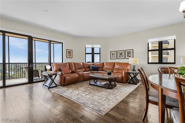 living area with dark wood-type flooring