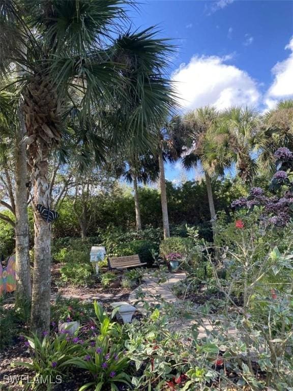 13772 Cleto Dr, Estero, FL 33928 - view of nature