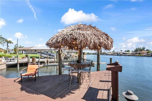 dock area with a water view