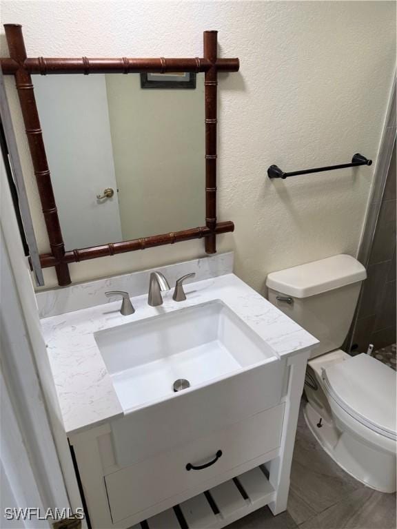 bathroom with vanity and toilet