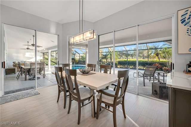 dining space with light hardwood / wood-style floors and ceiling fan