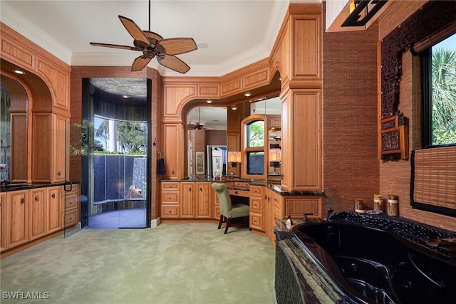 bathroom featuring vanity, crown molding, and plenty of natural light