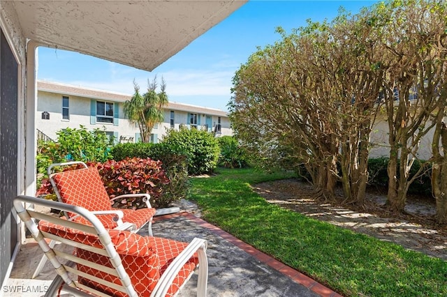 view of yard with a patio