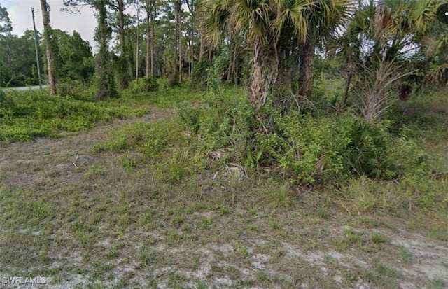 331 Mangonia Ave, Lehigh Acres FL, 33974 land for sale