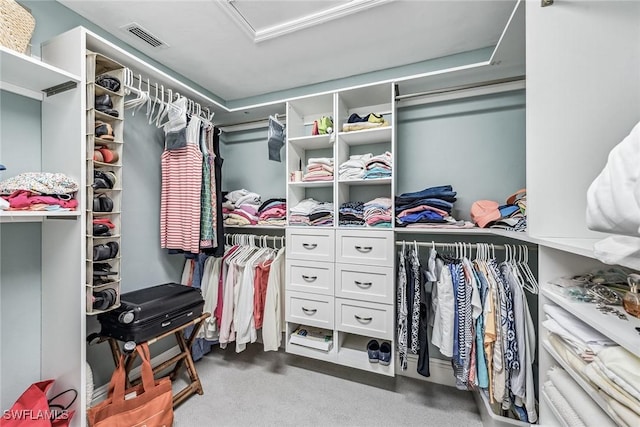 spacious closet with carpet