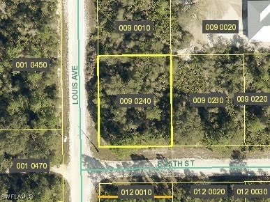 4183 E 25th St, Alva FL, 33920 land for sale