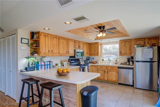 373 Hile Ln, Punta Gorda, FL 33982 - kitchen with appliances with stainless steel finishes, a tray ceiling, a peninsula, light countertops, and a sink