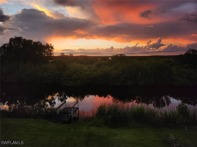 373 Hile Ln, Punta Gorda, FL 33982 - water view with a boat dock and a forest