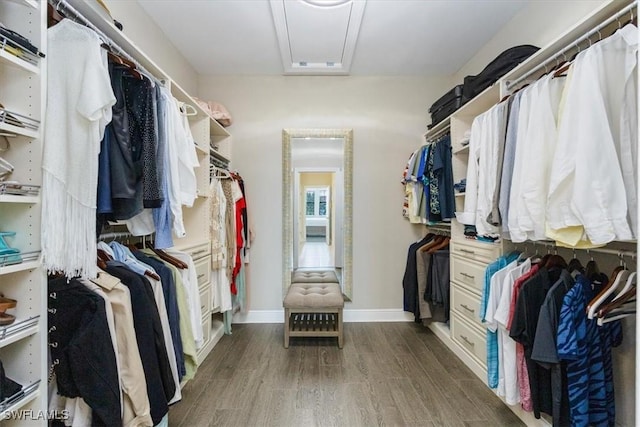 spacious closet with dark wood-style floors