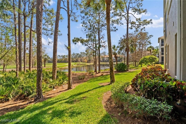 view of yard with a water view
