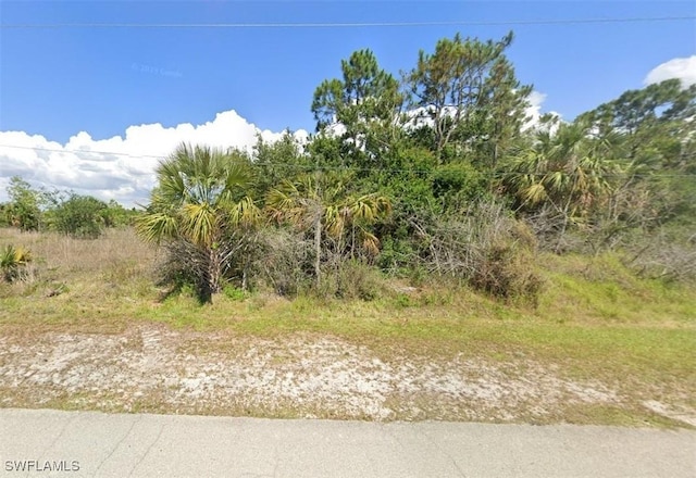 933 Joponica Ave S, Lehigh Acres FL, 33974 land for sale