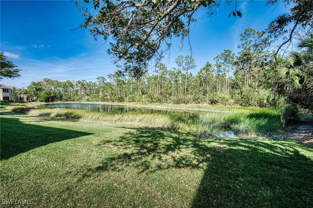 23039 Lone Oak Dr, Estero, FL 33928 - view of yard featuring a water view