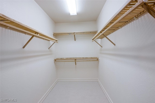 spacious closet featuring carpet floors