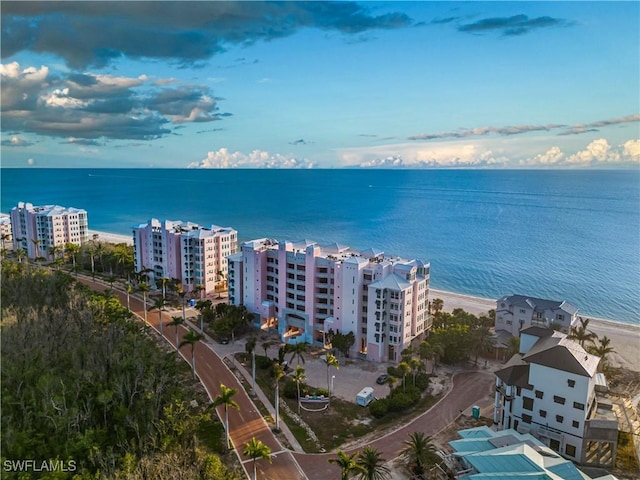 drone / aerial view with a water view and a beach view