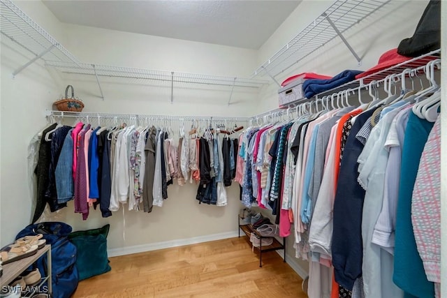 spacious closet featuring wood finished floors