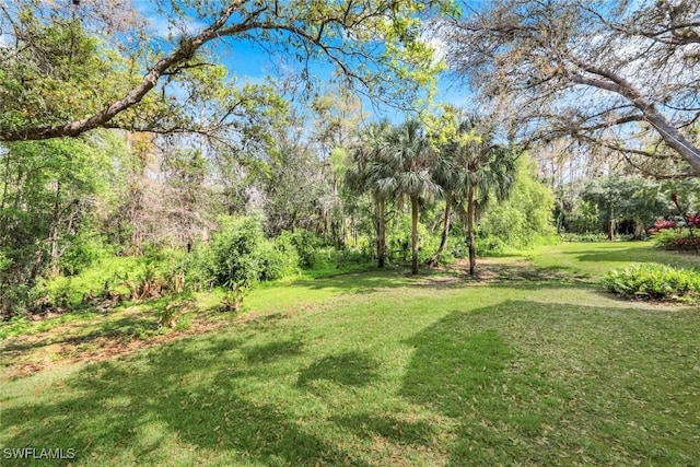 view of yard featuring a forest view