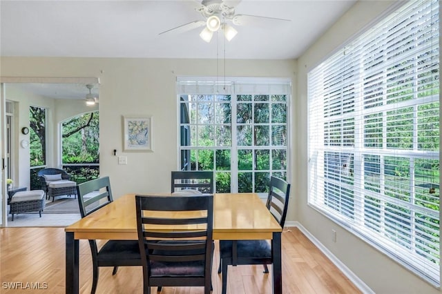 dining area with light wood-style flooring, a ceiling fan, baseboards, and a wealth of natural light