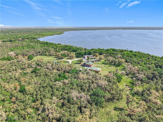 bird's eye view featuring a water view and a view of trees