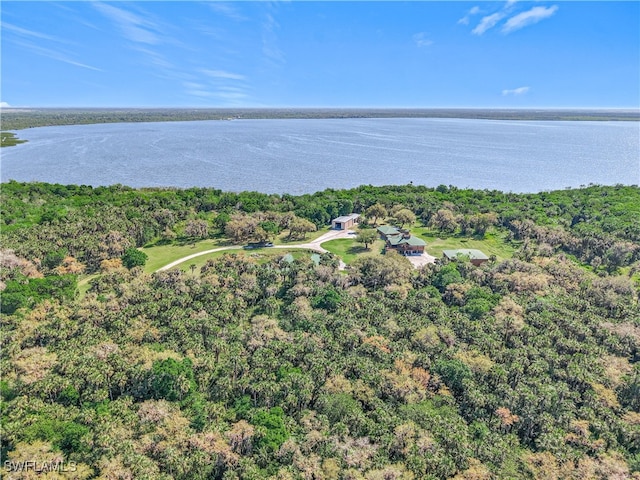 bird's eye view featuring a water view and a forest view