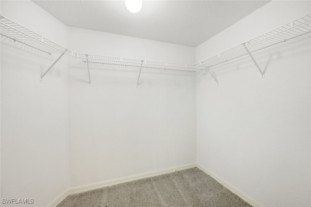 spacious closet with light carpet