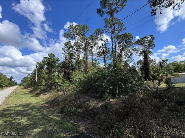 10 Wellington Ave, Lehigh Acres FL, 33936 land for sale