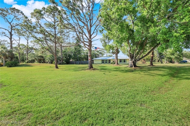 view of yard