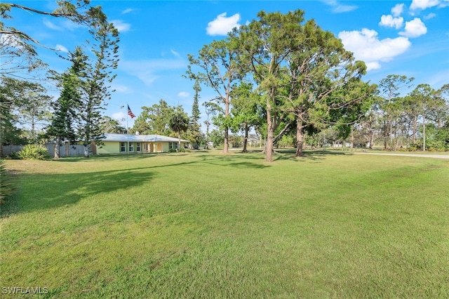 view of yard