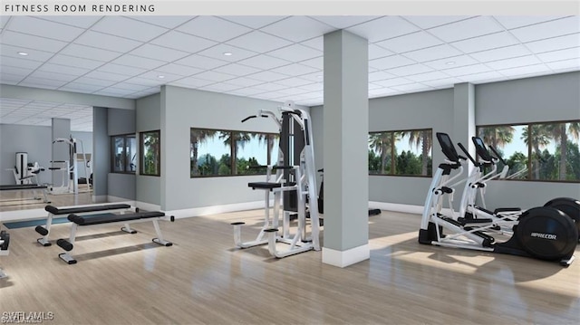 exercise room with hardwood / wood-style floors and a drop ceiling