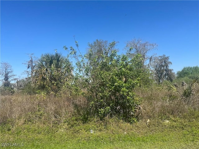 3361 31st Ave NE, Naples FL, 34120 land for sale