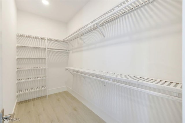 walk in closet with wood finished floors