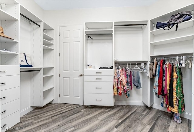 walk in closet featuring wood-type flooring