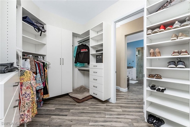 walk in closet featuring wood-type flooring