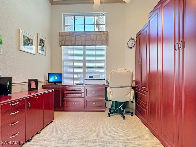 office area with a towering ceiling and light colored carpet