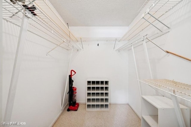 2228 Poinciana Dr, Naples, FL 34105 - view of walk in closet