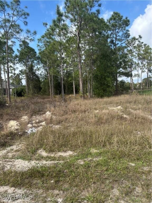 730 Troy Ave, Lehigh Acres FL, 33974 land for sale