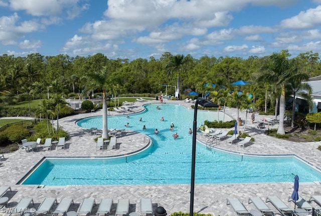2550 Ocasa Ct, Cape Coral, FL 33909 - community pool with a patio