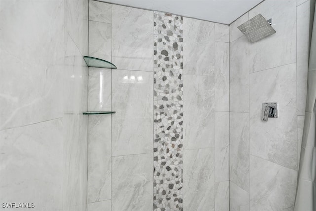 interior details featuring tiled shower