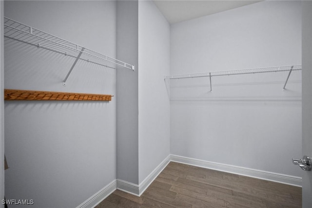 walk in closet featuring dark wood-type flooring