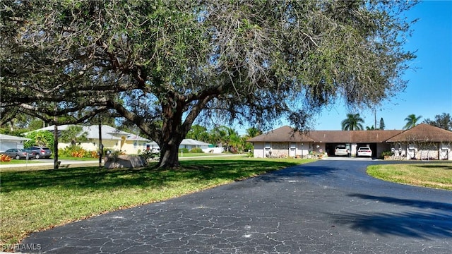 view of front of house featuring aphalt driveway and a front lawn